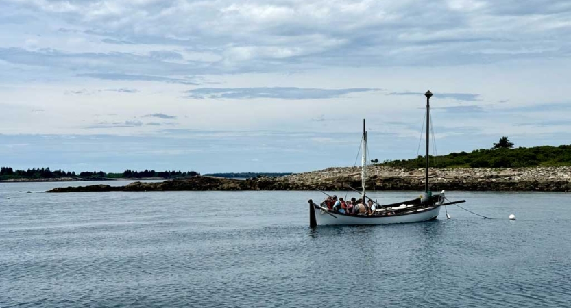 A sailboat floats on blue water near the shore. 